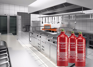 Fire Extinguishers, Fire Cabinets, Dry Chemical Powders, Fire Doors, Hood Extinguishing Systems, Protein-based, synthetic-based, alcohol-resistant and film-forming foam types